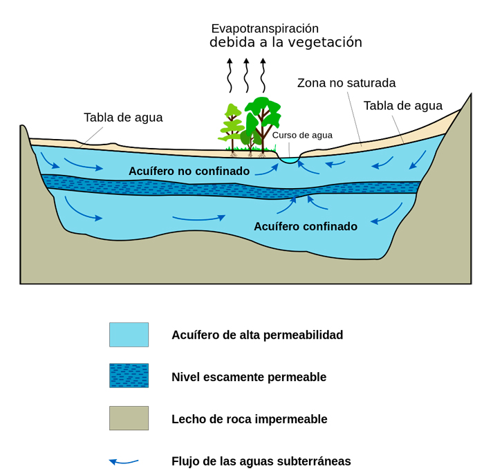 Flujo del agua a través del acuífero. Fuente: Hans Hillewaert (Wikipedia).