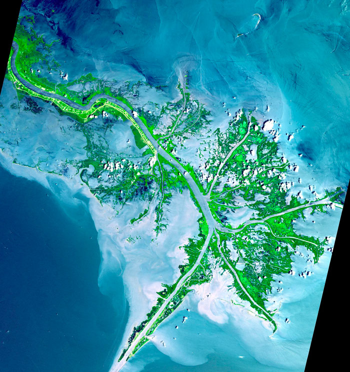 Delta del Mississippi