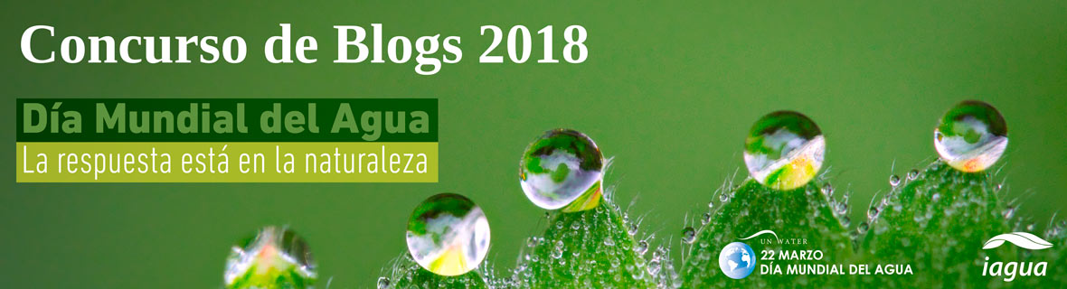 Concurso Día Mundial del Agua 2018 Concurso de Blogs Día Mundial del Agua 2018