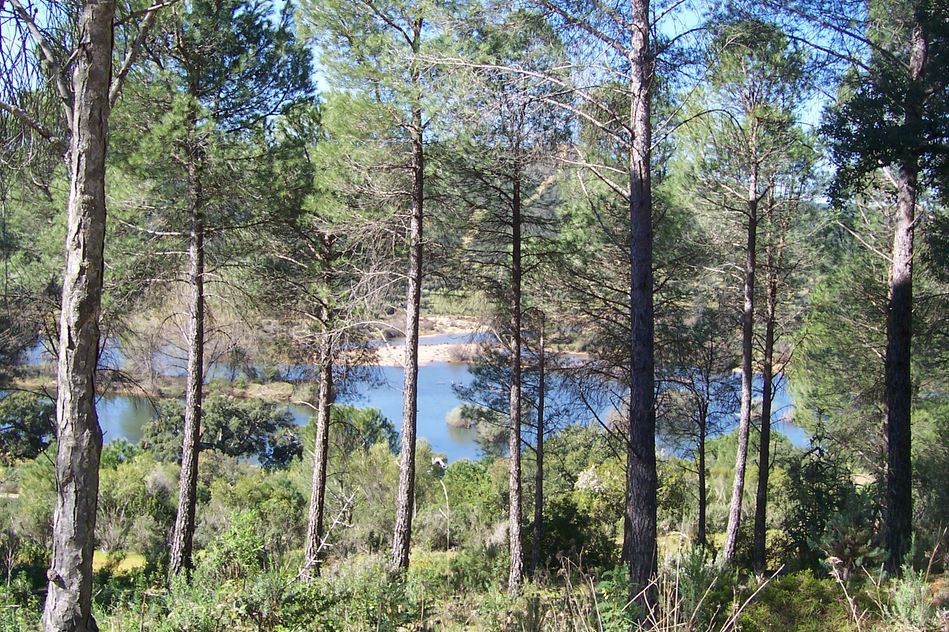 Embalse de Cijara