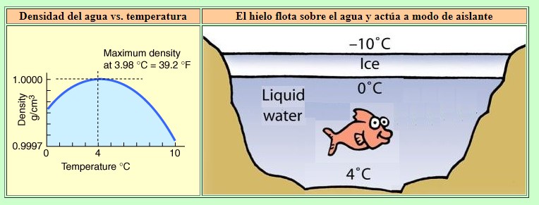 Densidad del agua vs temperatura
