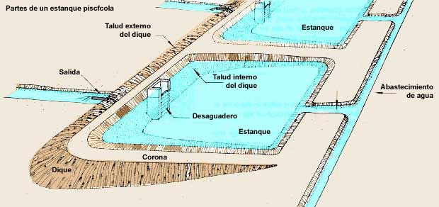 Partes de un estanque piscícola