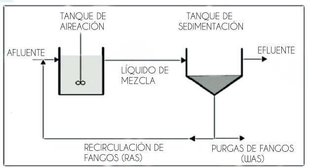 Proceso de un sistema de lodos activados (Fuente. ISA)