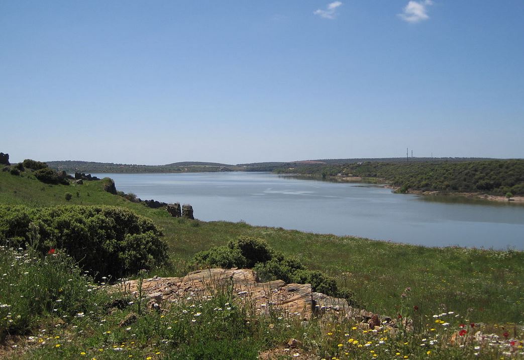 Embalse de Ricobayo